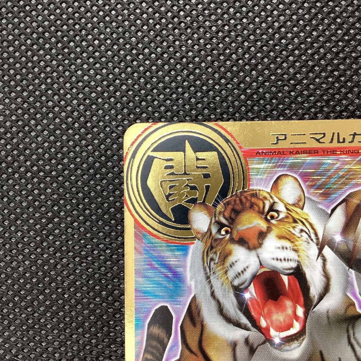 激レア　ANIMALS atmos x adidas ZX 8000 