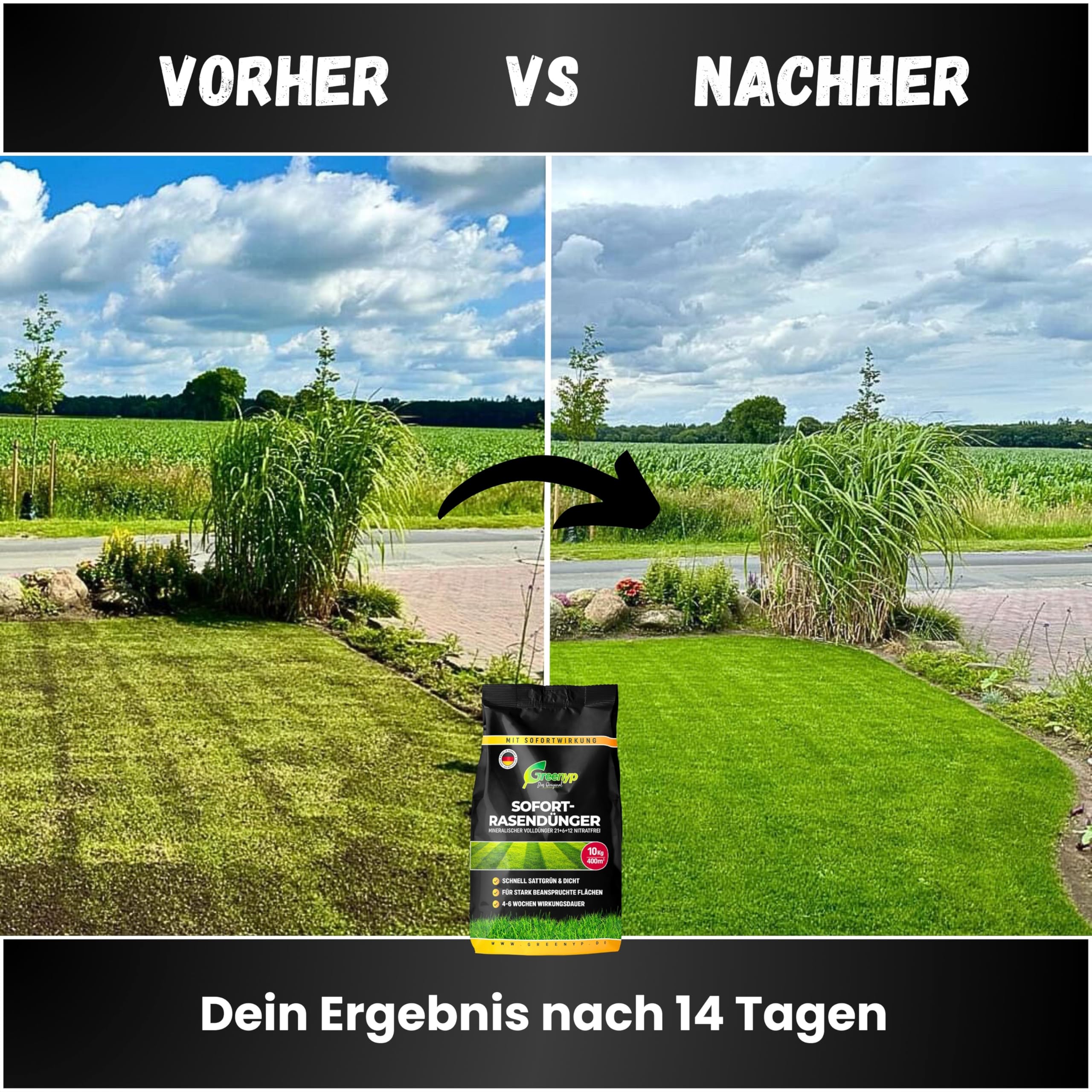 Greenyp Instant Rasendünger Frühjahr I 20kg für 800m² I mit blitzschneller Sofortwirkung für Frühjahr bis Spätsommer I verhindert Moosbildung I NPK Dünger Rasen Dünger