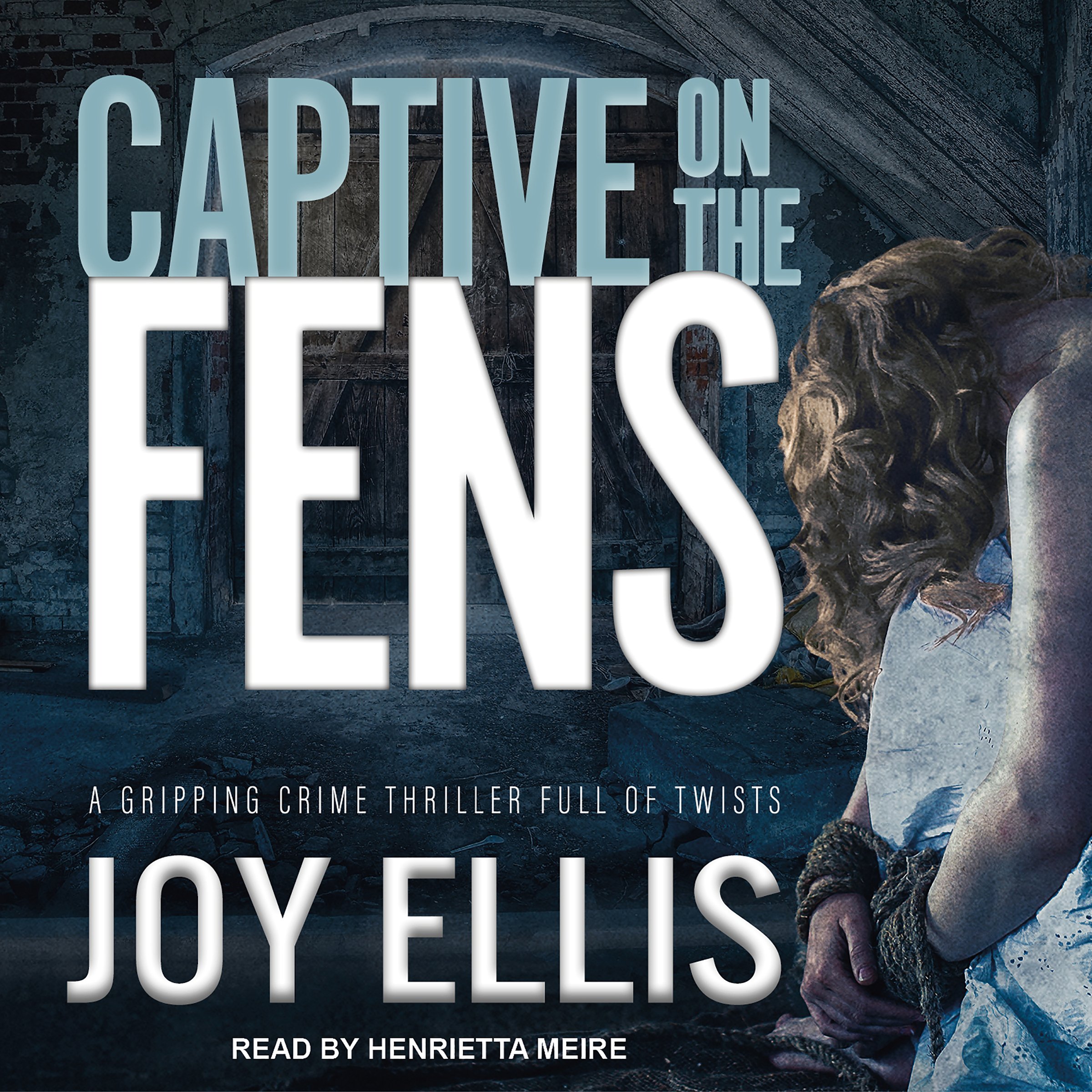 Cover art for Captive on the Fens