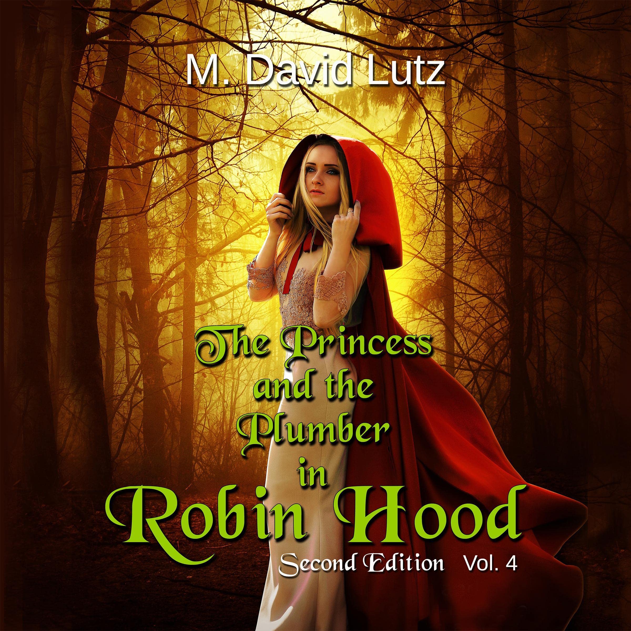 Cover art for The Princess and the Plumber in: Robin Hood