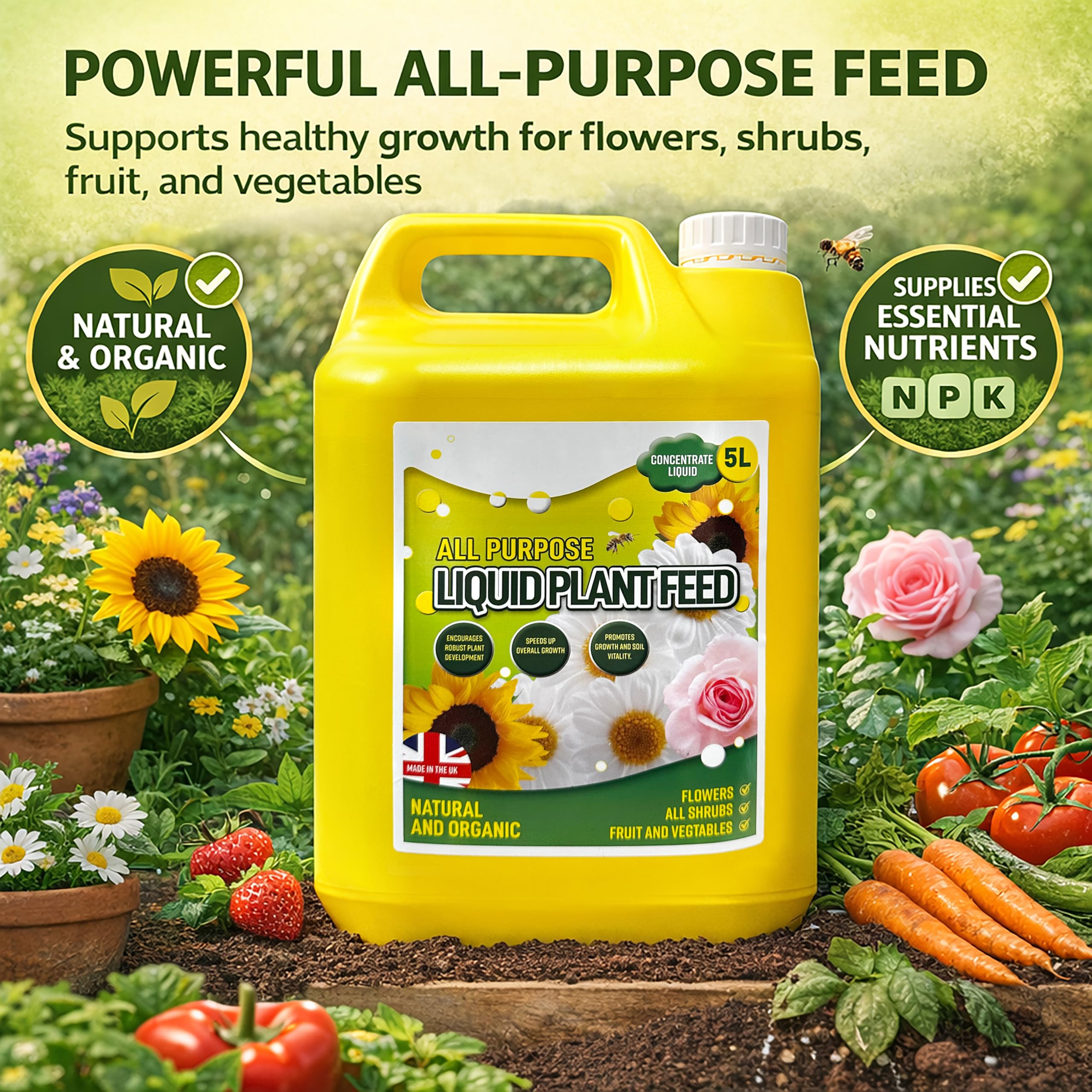 View 3