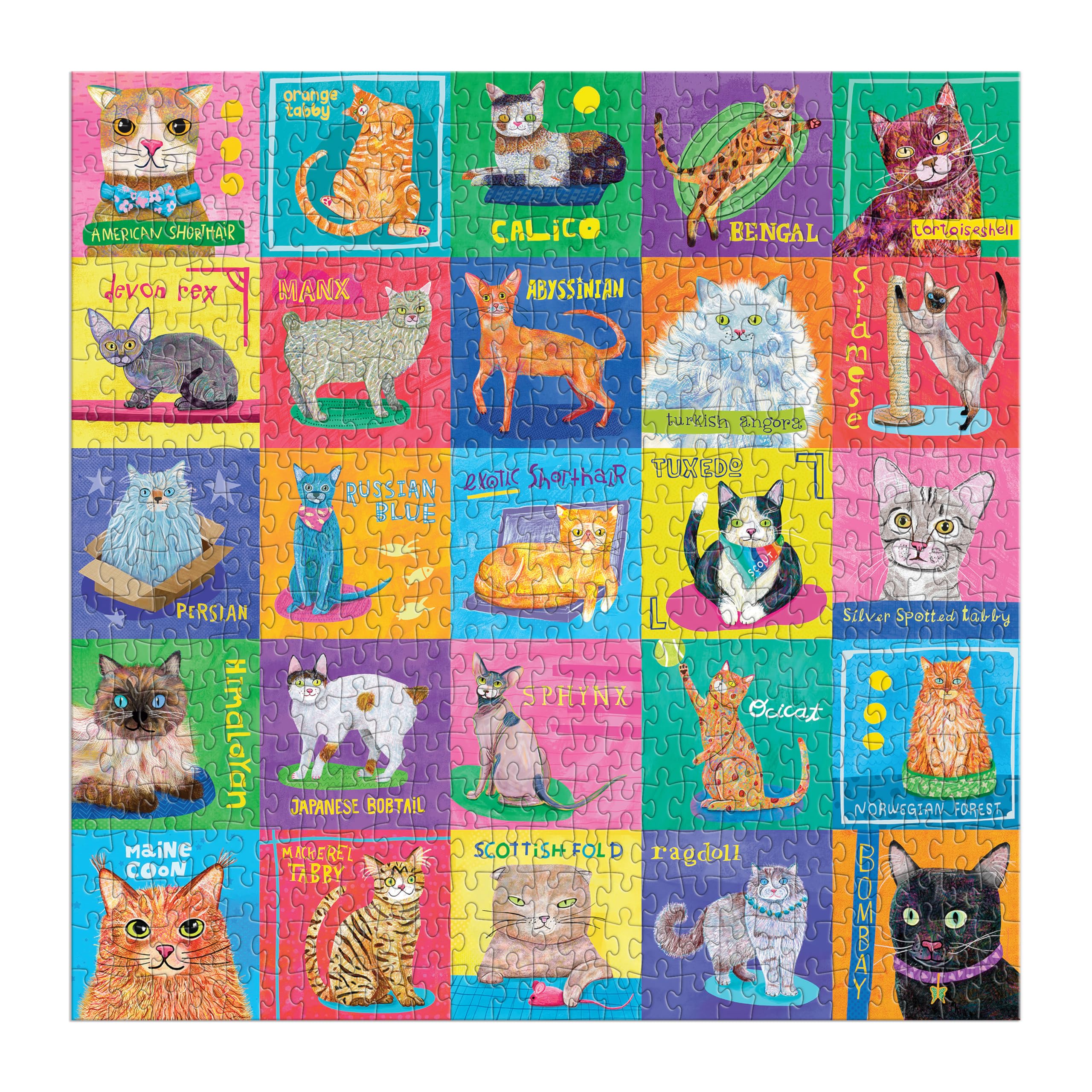 Amazon.com: Mudpuppy Purr-FECT Portraits! – 500 Piece Family