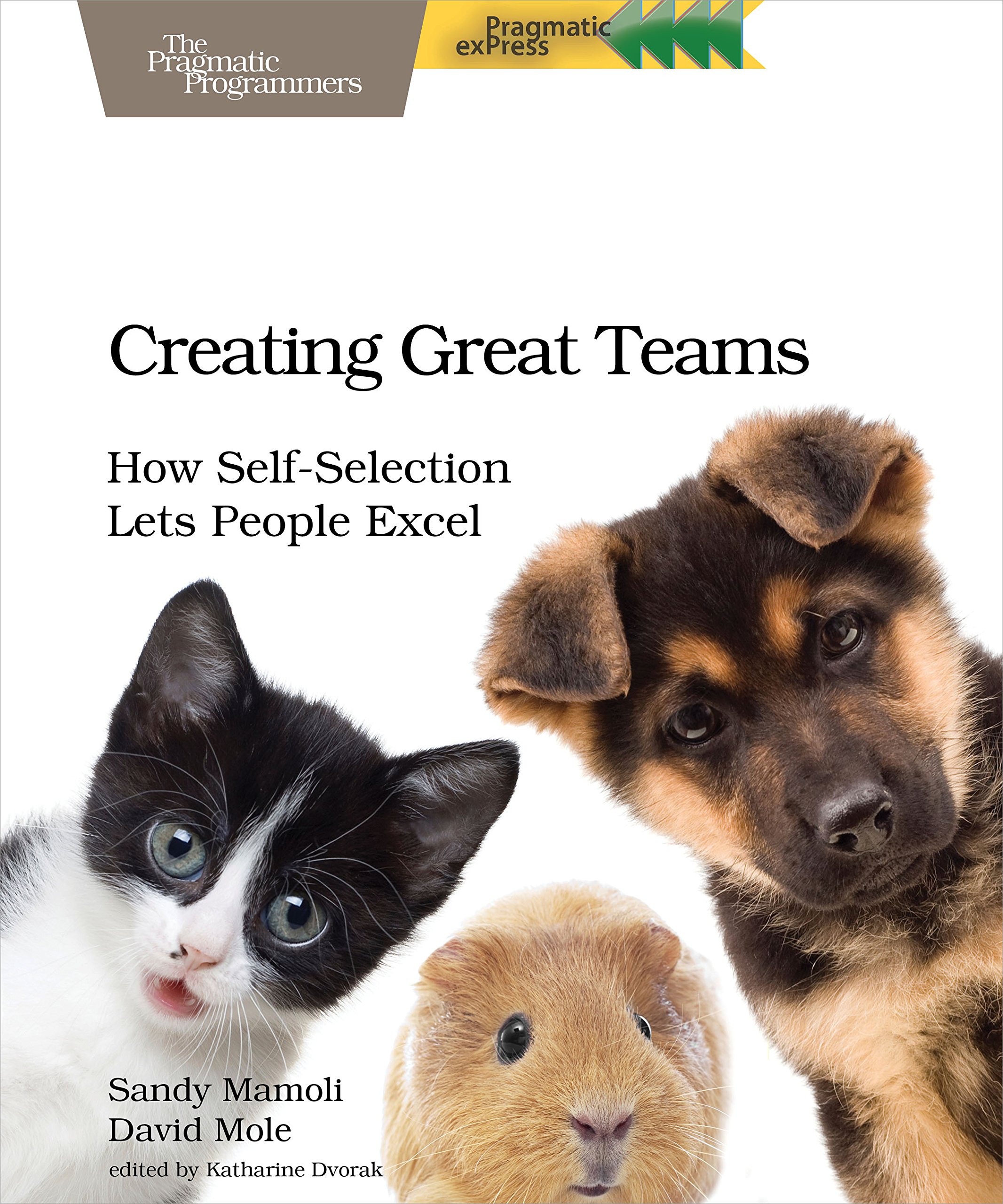 チームフロー クリエイティブなチームを作る方法　CD3枚セット　平本あきお Creating Great Teams: How Self-Selection Lets People Excel