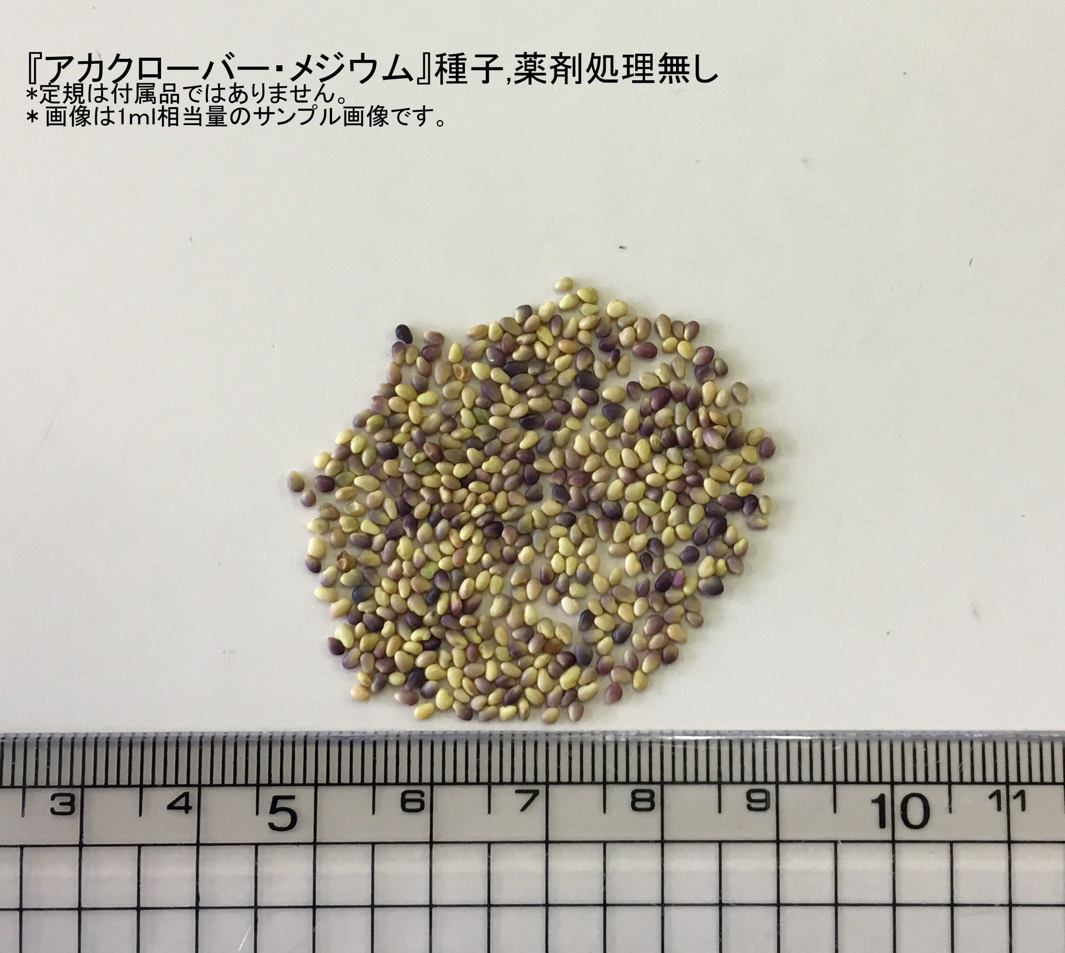 Amazon | 福花園種苗 アカクローバー『メジウム』 種子1L詰 211987 | 花