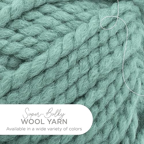 Vista 262 de Lion Brand Yarn Wool-Ease Thick & Quick Yarn - 318.2 ft, Graphite Grafito