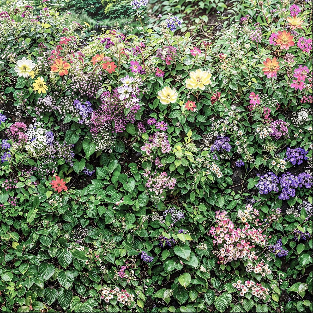 Sabrikas Let Your Creative Spirit Run Free Multicolor Summer Flower Medley Garden Mural, Tapestry & Curtain Waterproof Outdoor Wall Hanging, Colourful Floral Wall Art & Garden Fence Decor W70.87 Inches X H70.87 Inches