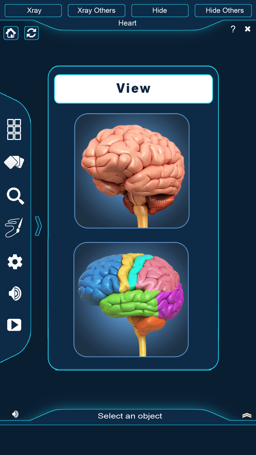 Brain Anatomy Pro. - App on Amazon Appstore