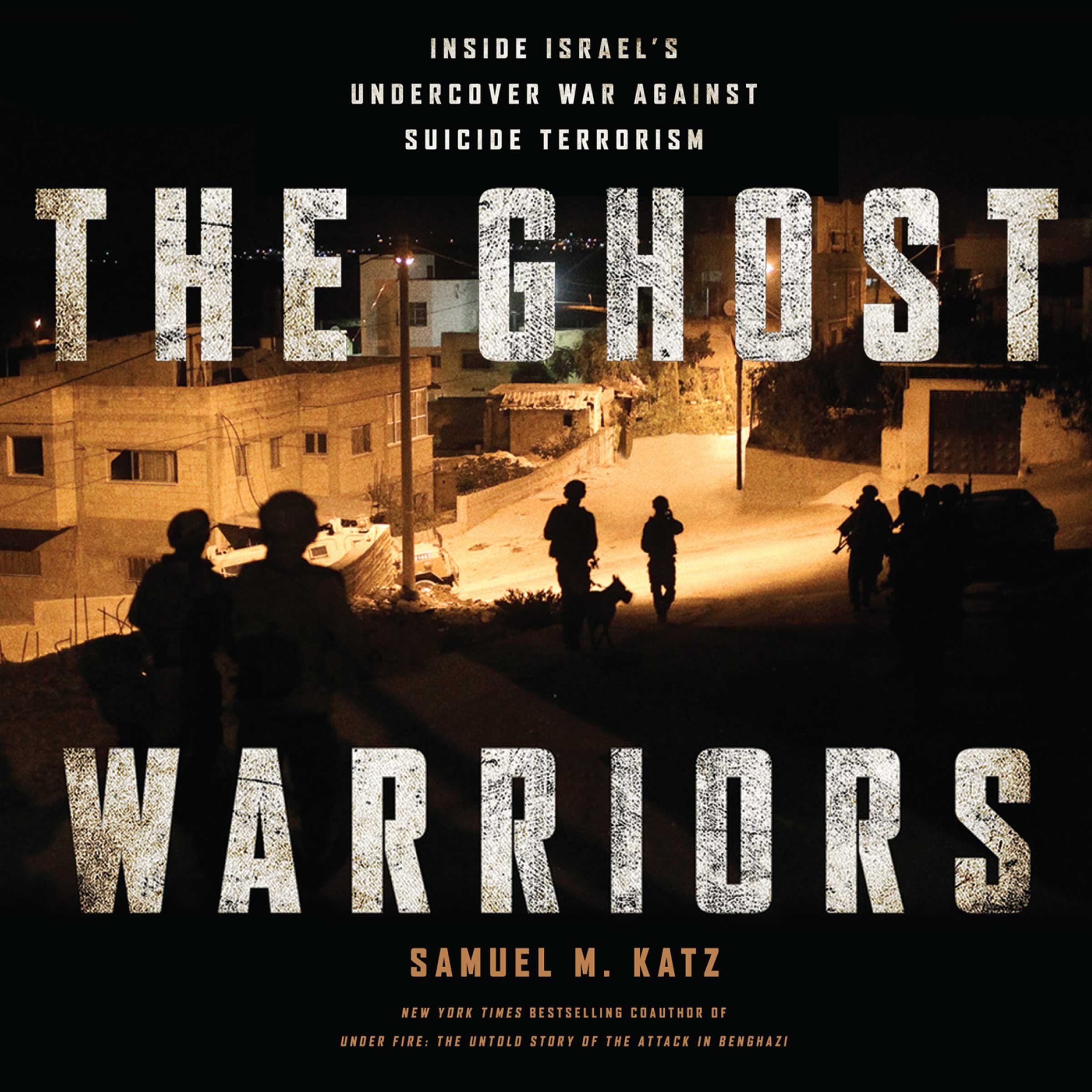 Cover art for The Ghost Warriors
