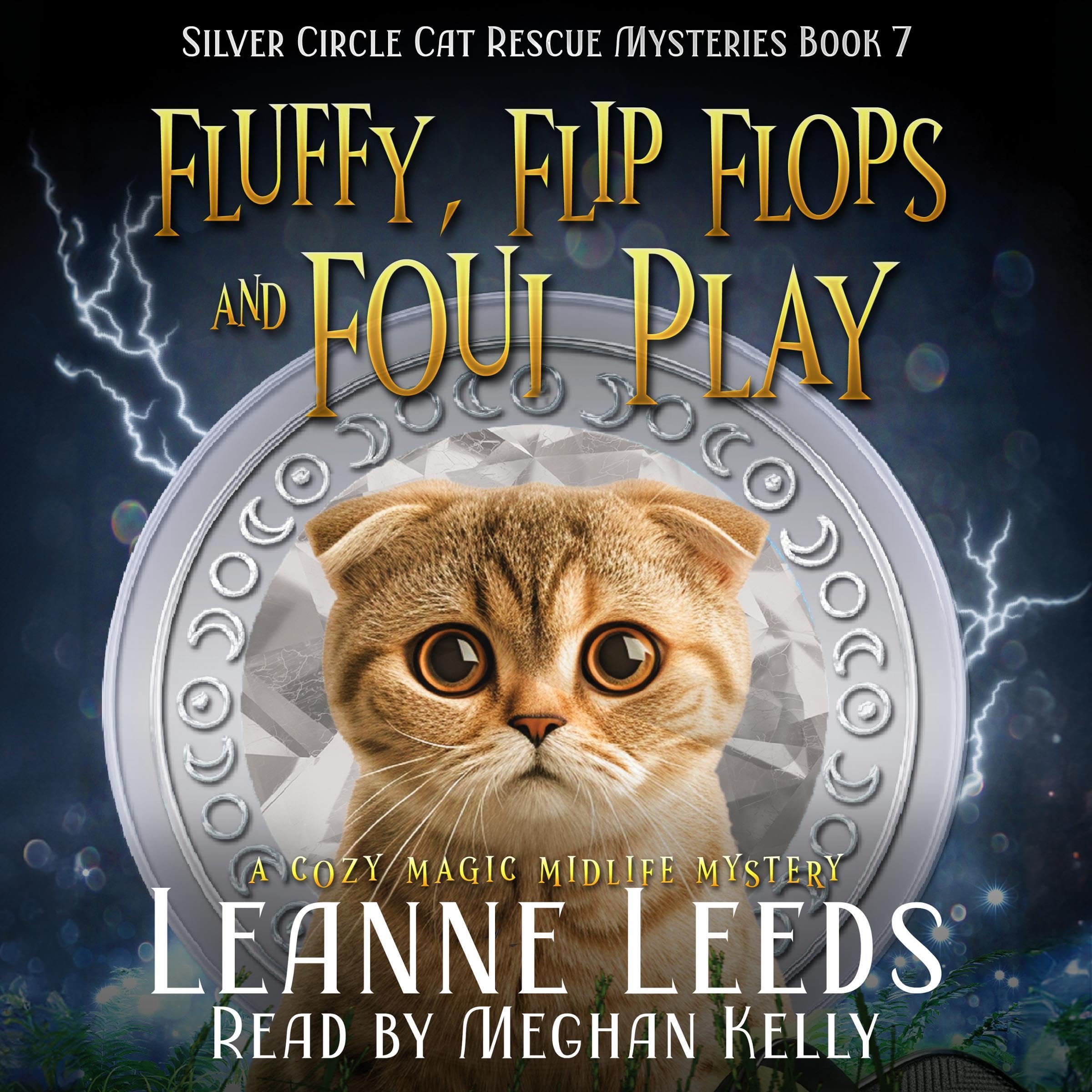 Cover art for Fluffy, Flip Flops, and Foul Play