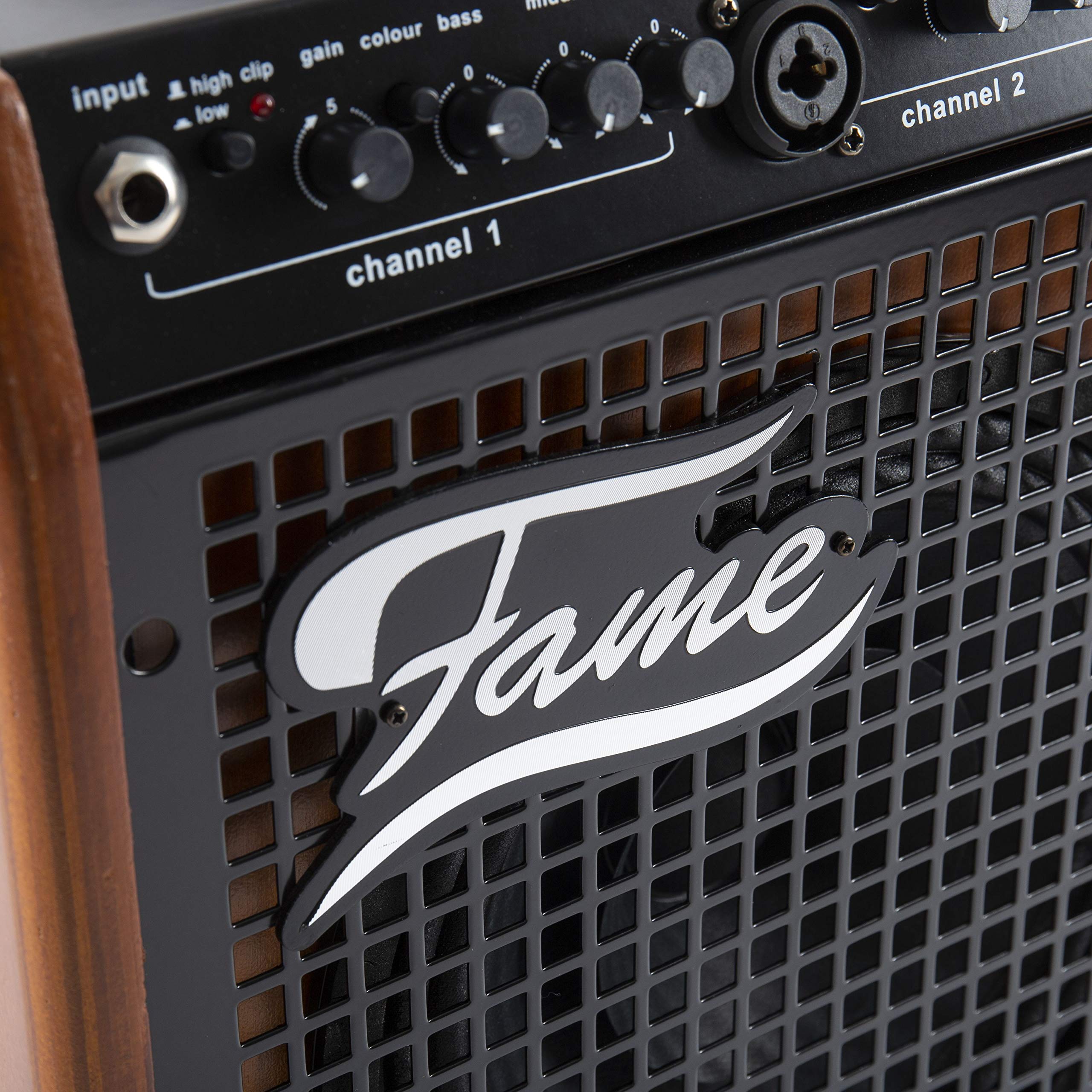 Fame Athena 50W Akustikgitarren-Verstärker, 2-Kanal Combo, Integrierte Effekte, 8" Lautsprecher, Reverb, Aux-Eingang, Recording-Ausgang, Geeignet für Gesang