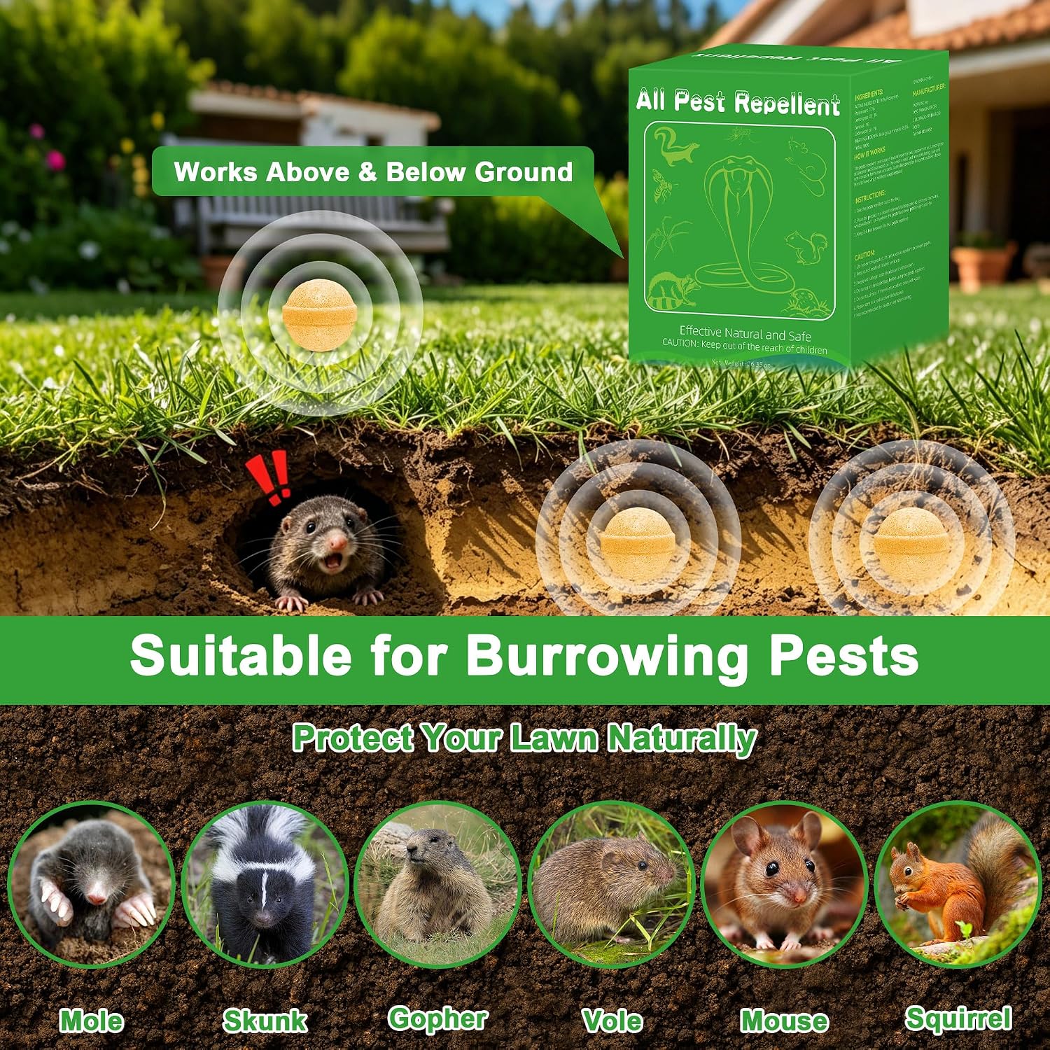 36Pack Mole Repellent - Natural Mole Deterrent for Yard, Garden and Under Decks, Plant-Based Essential Oil Formula, Safe for Kids & Pets, Long-Lasting Scent to Keep Mole Away