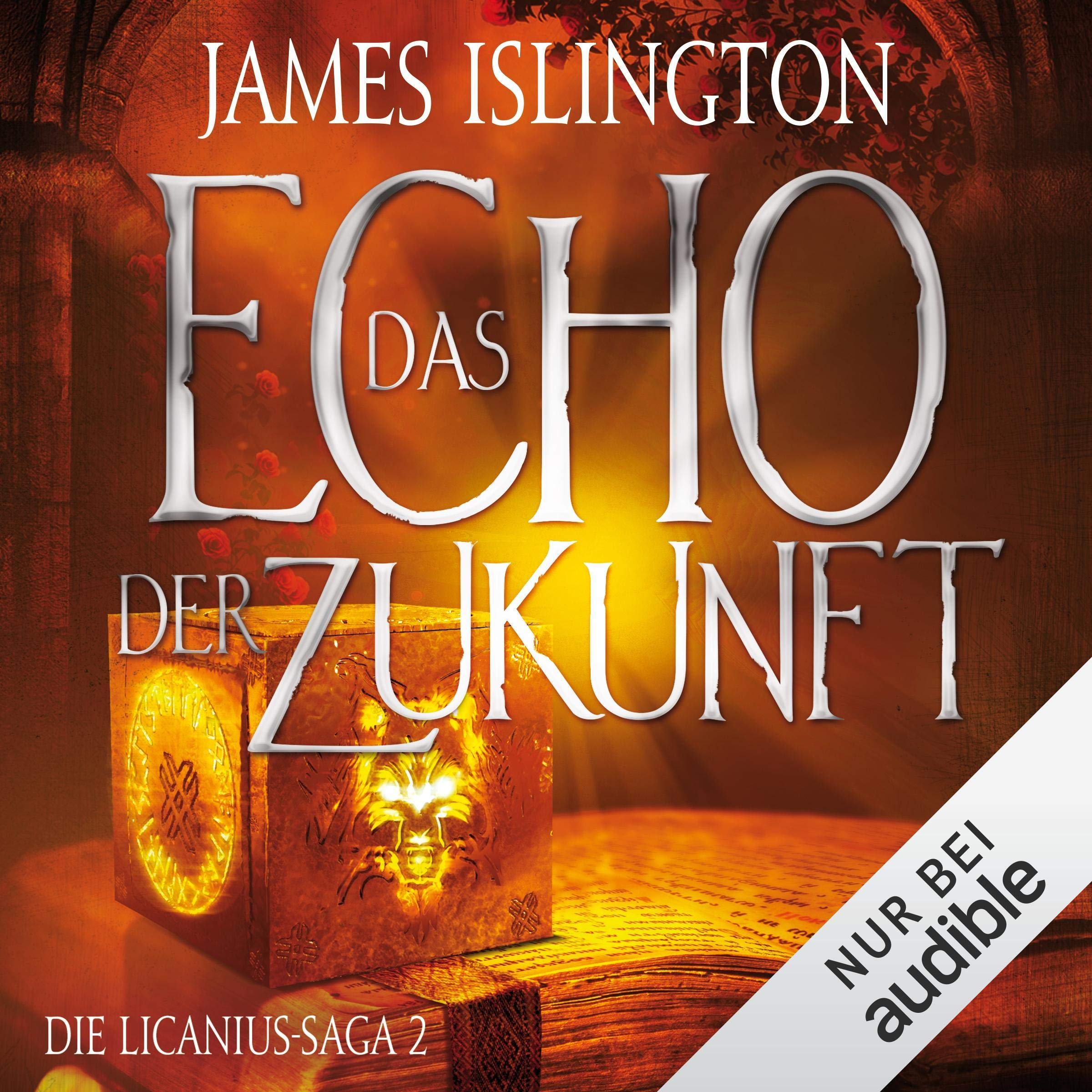 Cover art for Das Echo der Zukunft