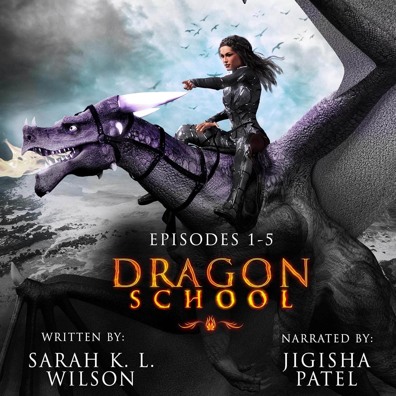 Dragon School: Episodes 1-5 Dragon School: Episodes 1-5