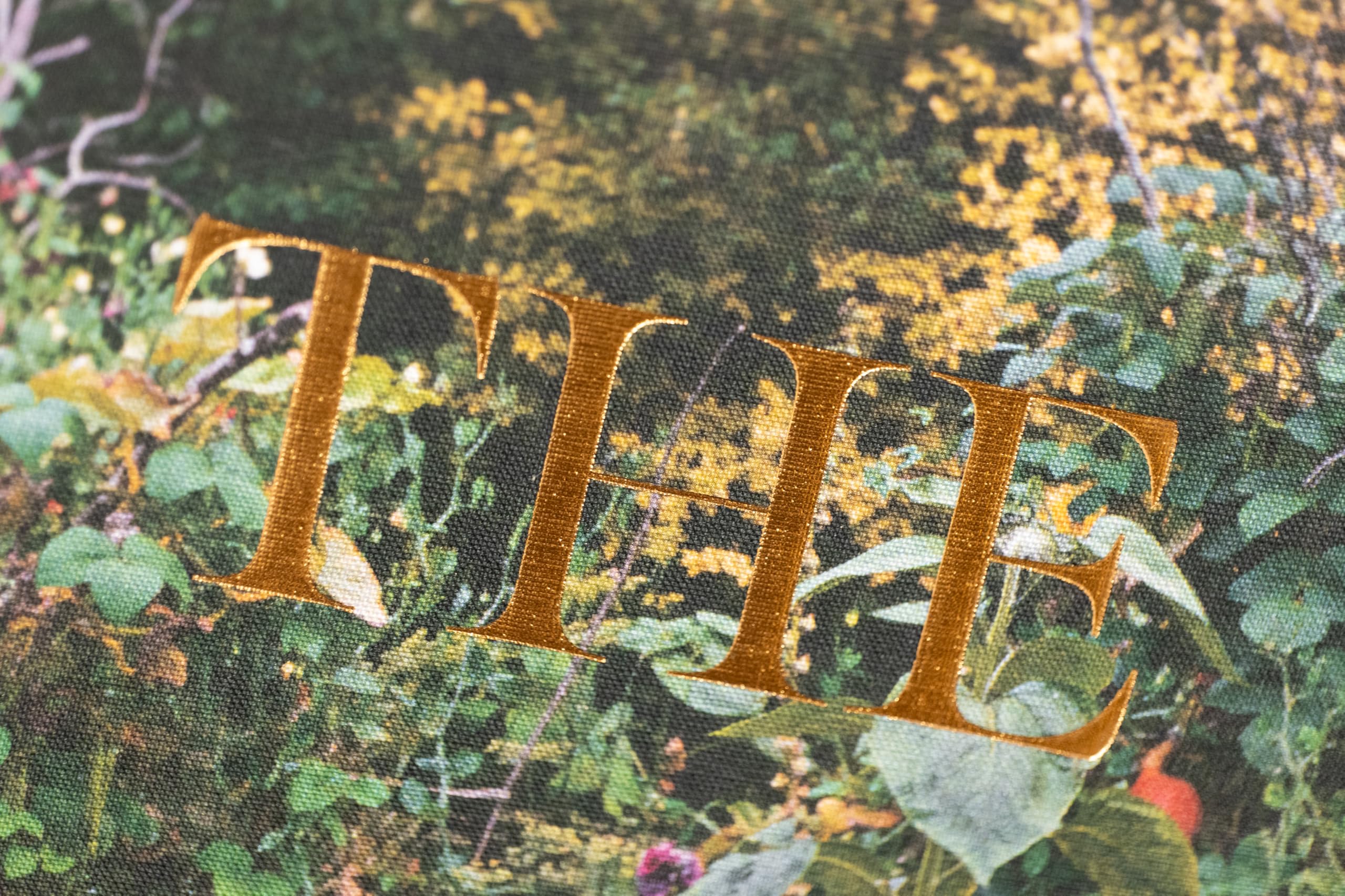 SiAn Davey: The Garden /anglais