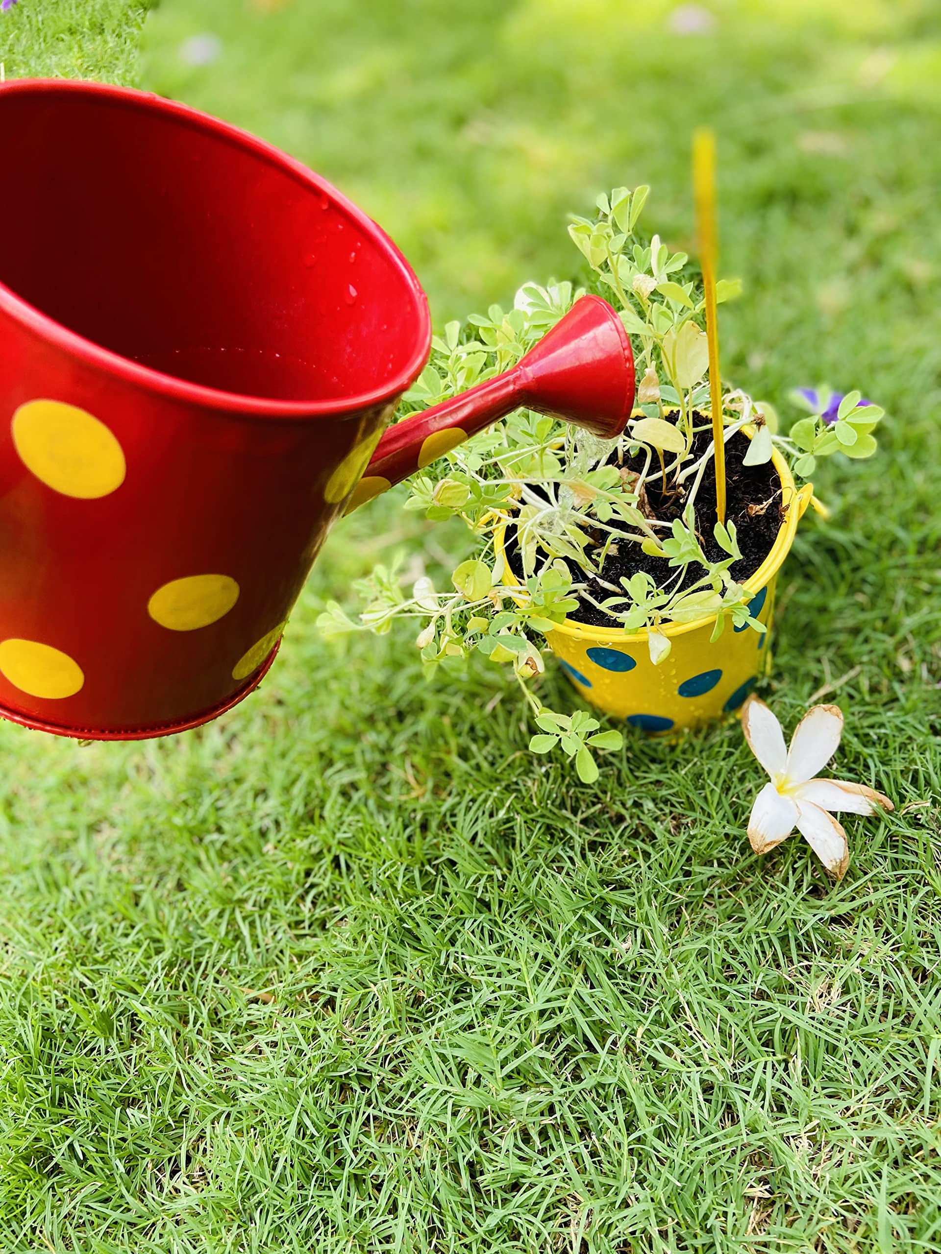 Lattooland Gardening Tools for Kids | 2 Wooden Tools | 1 Child-Size Metal Water Sprinkler Can | Fun Gardening Toys | Outdoor Learning | Beach Toys | Birthday Return Gifts for Children | Play Sets - Image 3 thumbnail