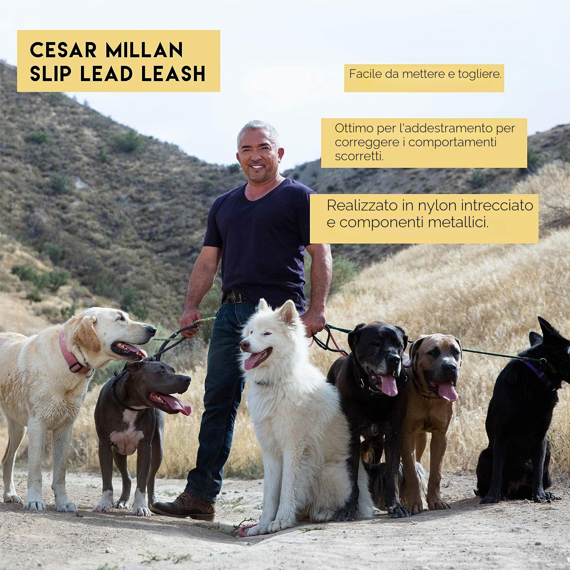 Cesar Millan Slip Lead Leash™ - Il guinzaglio da allenamento con collare antiscivolo offre un maggiore controllo e la possibilità di apportare correzioni rapide e delicate (regolare, nero)