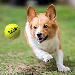 NERF Dog Blaster 12 in with Tennis Balls