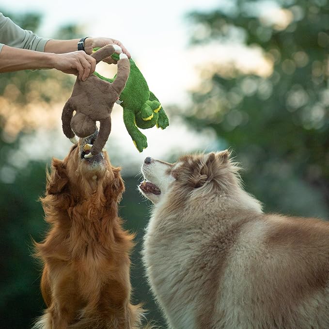Juguete de Peluche Squeaky con Cuerdas para Perros, Rana, 15 pulgadas miniatura 5