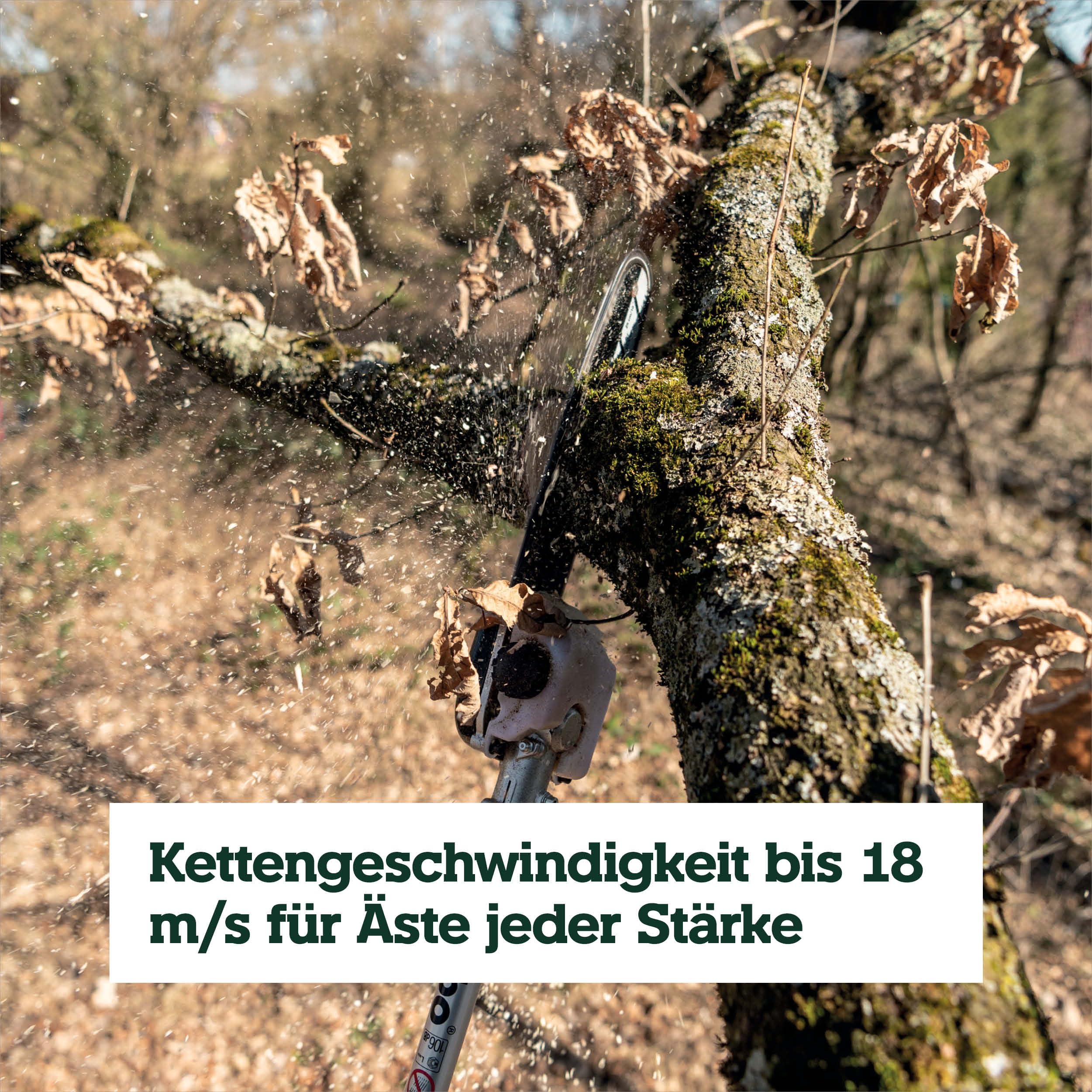 metabo Hochentaster-Aufsatz MA-MS 25, 25 cm Schiene, 18 m/s Kette | Passend für MA 36-18 LTX BL Q, automatische Kettenschmierung, Quick-Schnellkupplung, ohne Akku und Ladegerät