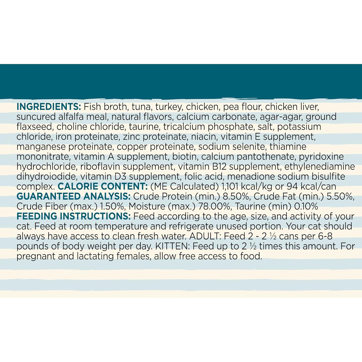 under the sun witty kitty