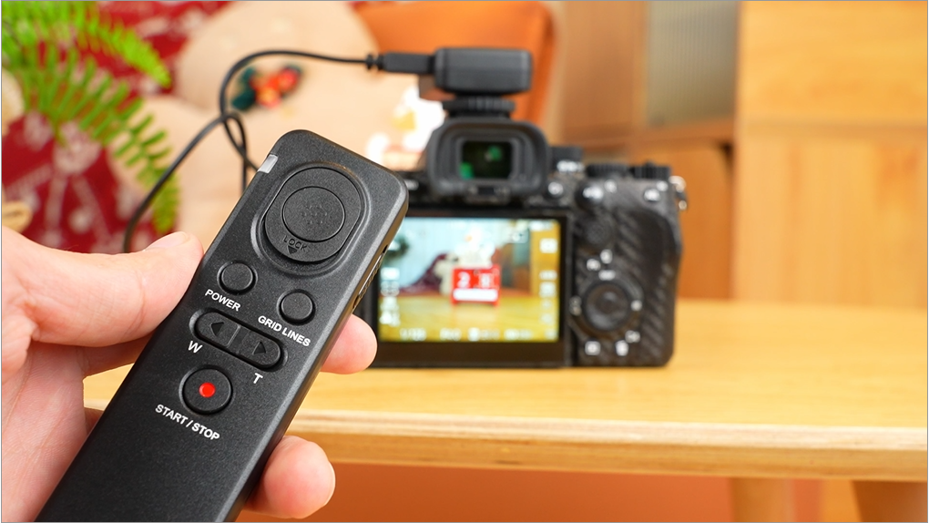 Amazon.com : Replace RMT-VP1K RM-VPR1 Wireless Remote Control
