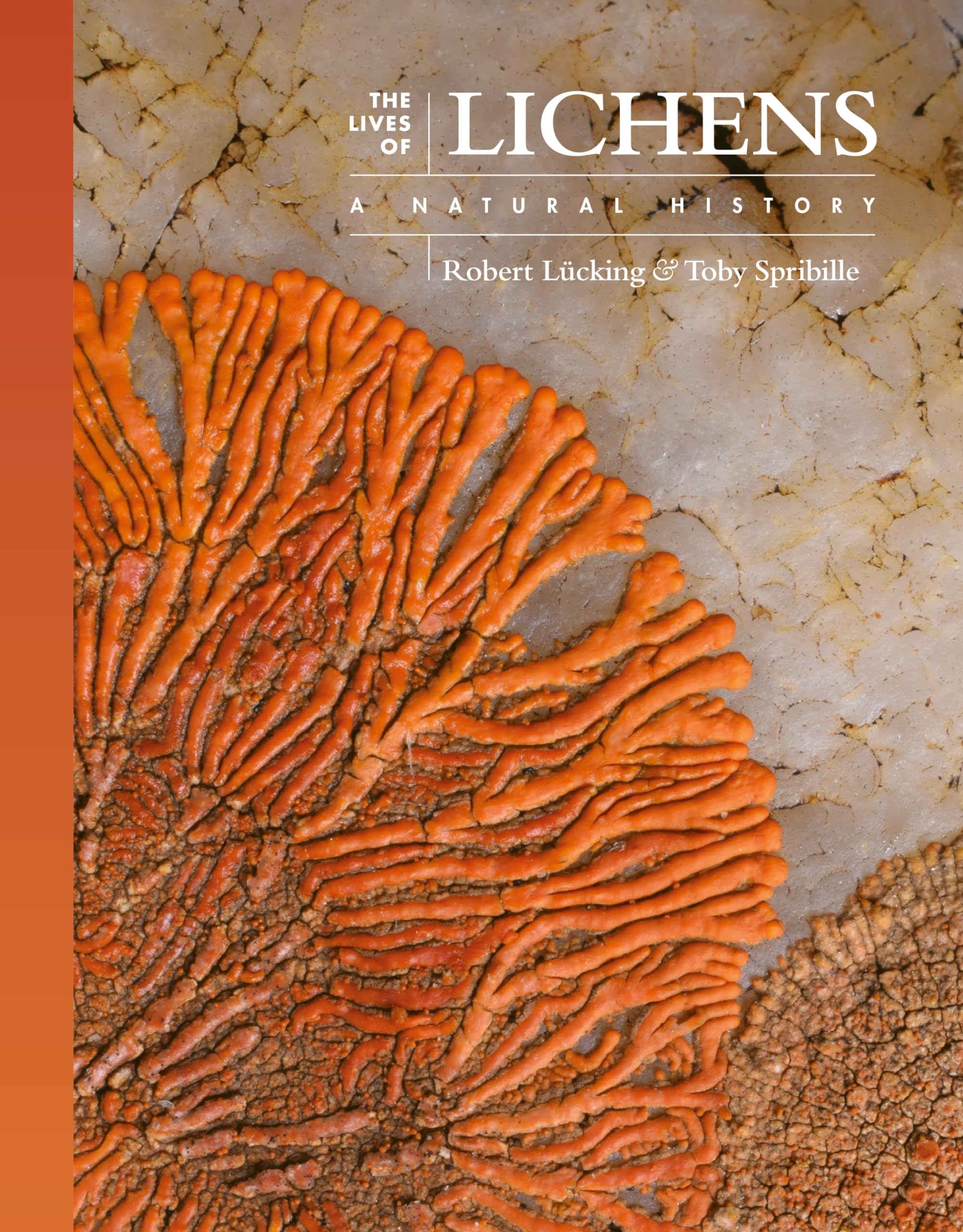 The Lives of Lichens: A Natural History: 10 (The Lives of the Natural World)