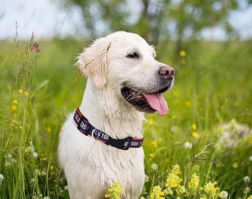 Miniatura 47 de Pets First Collar NHL para perros y gatos. Ajustable, lindo y elegante. ¡El mejor collar para fanáticos del hockey! Anaheim Ducks