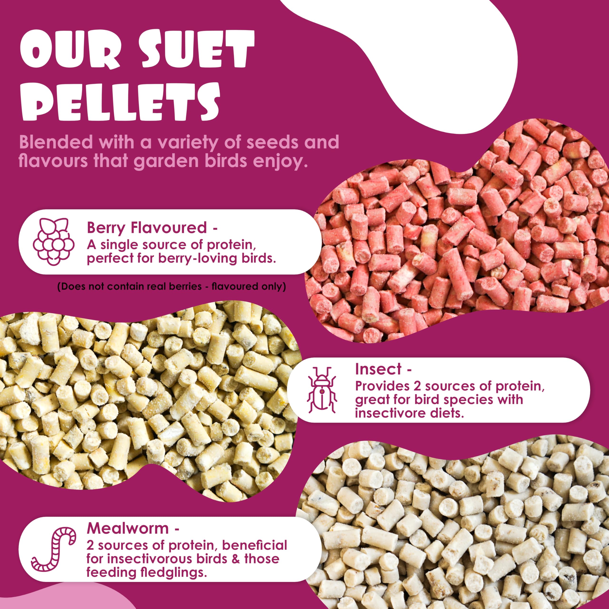 Peanut & Berry Flavoured Suet Pellets, 3kg Resealable Tub - Wild Bird Food Enriched with Human Grade Beef Tallow, High in Energy & Protein - All-Season Bird Feed - Manufactured In The UK — view 6