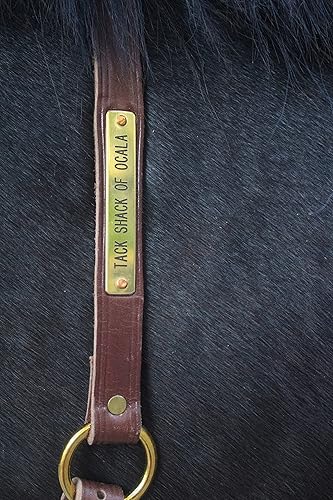 Miniatura 5 de Tack Shack of Ocala Correas para el cuello con placa de nombre grabada personalizada para caballo Pony, caballo, analgésico y cuero marrón claro