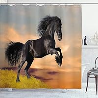 Vista 89 de Ambesonne Cortina de ducha de caballo, potente semental de Appaloosa, elegante estampado equino de campeón de sangre pura real, juego de decoración