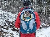 Kurgo G-Train Pack, Carrier Backpack for Small Dogs and Cats, Ideal for Hiking or Travel, Waterproof Bottom, Ink Blue - 2