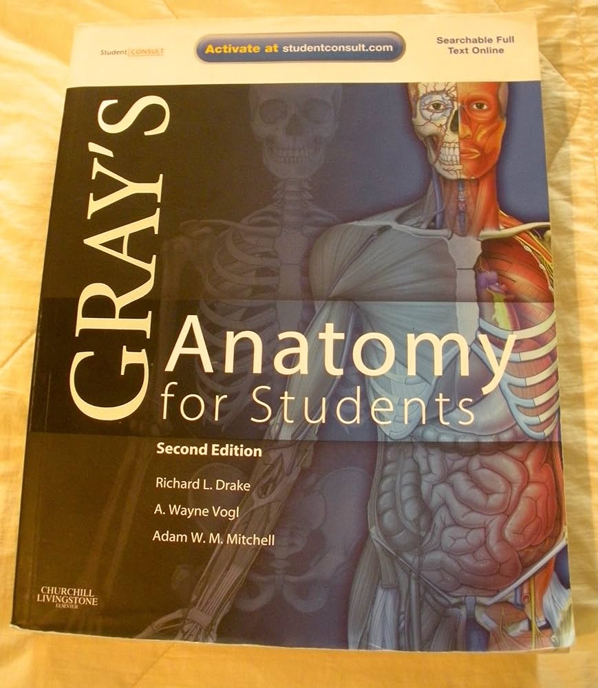 GRAY'S ANATOMY FOR STUDENTS 第四版 Gray's Anatomy for Students 4th Edition: With Student