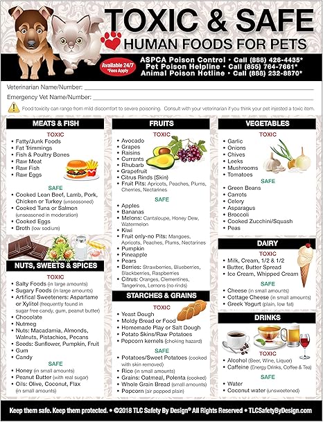 Amazon Com Tlc Safety By Design Premium Toxic And Safe Foods Poison For Pets Dogs Cats Emergency Home Alone Large Format 8 X 10 5 Veterinarian Approved Refrigerator Safety Magnet Qty 1 Home Kitchen