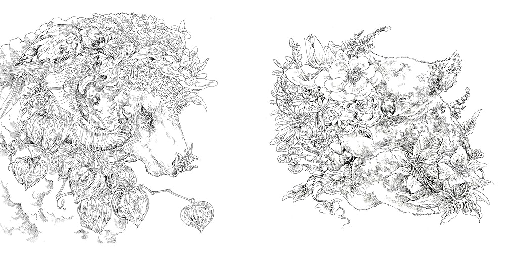 塗り絵・カリカチュア my personal coloring book 塗り絵・カリカチュア my personal coloring book 塗り絵