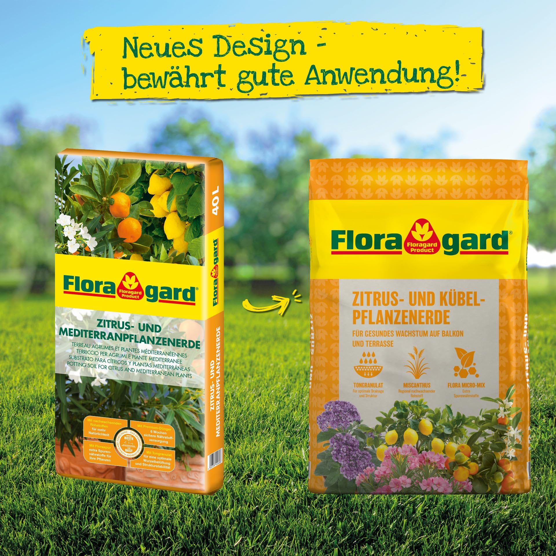 Floragard Zitrus-und Mediterranpflanzenerde 40 Liter - Zitruspflanzenerde -  Kbelpflanzenerde mit Premium-Dnger und extra Eisen-Dnger fr ...