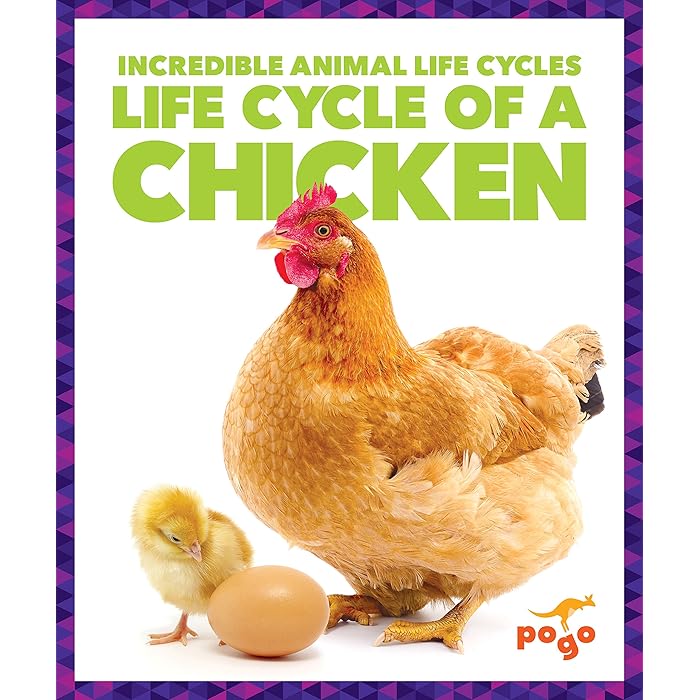 Buy Life Cycle of a Chicken (Pogo Books Incredible Animal Life Cycles