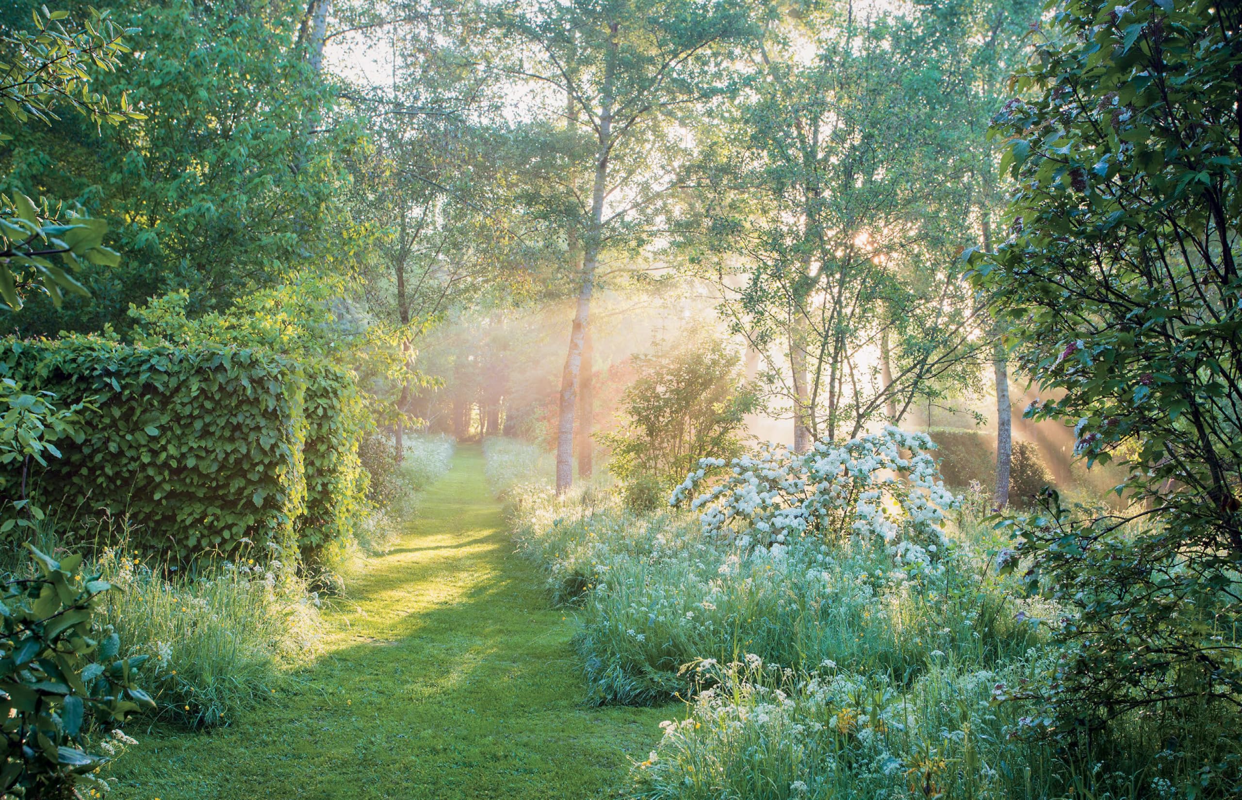Dreamscapes. Inspiration And Beauty In Gardens Nea: Inspiration and beauty in gardens near and far