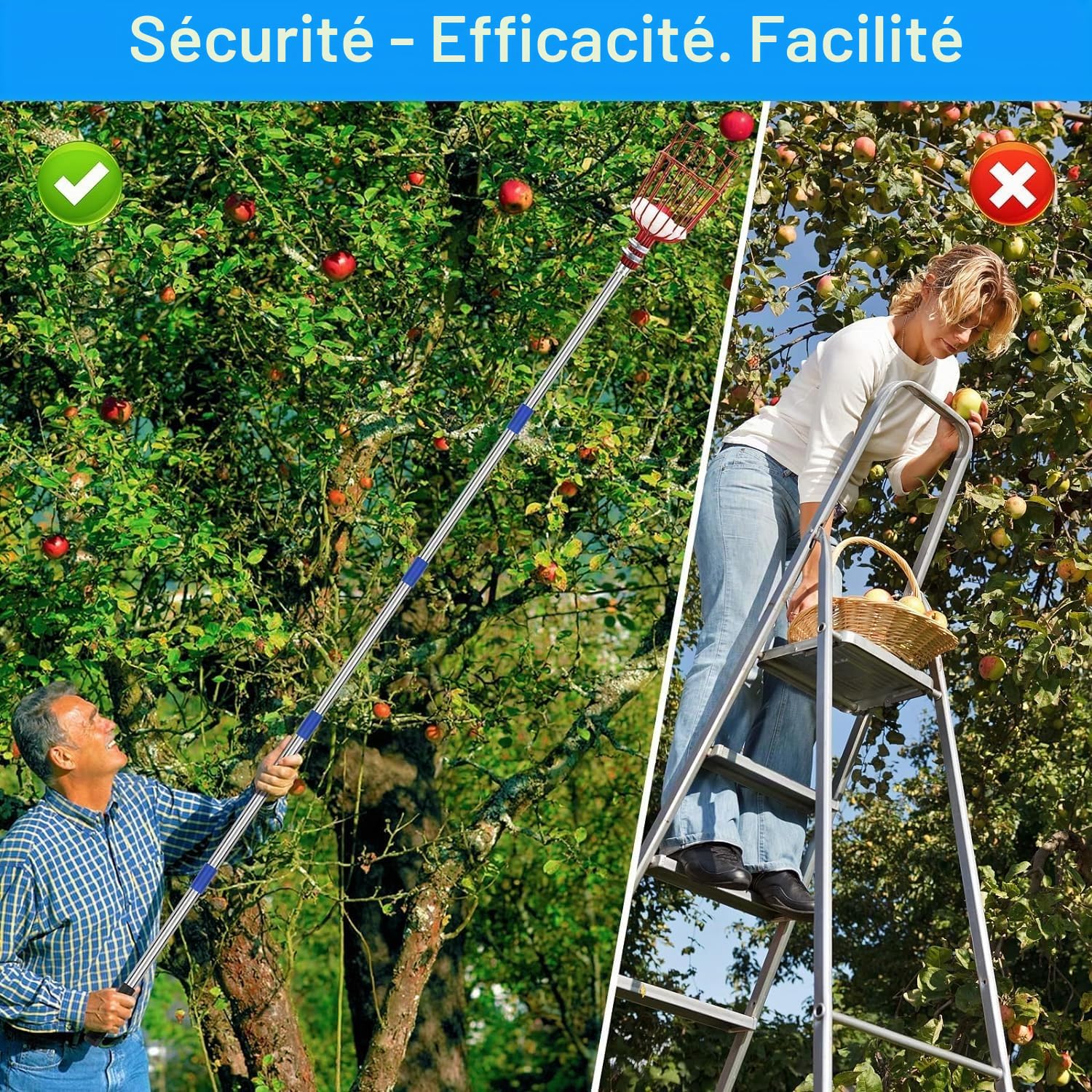 SAN LIKE Perche Cueille Fruit Telescopique 4 M, Cueilleur de Fruits avec Manche Telescopique, Fruit Picker Peigne à Olive Peigne pour Ramasser les Olives, Pommes, Poires, Pêches, Avocats