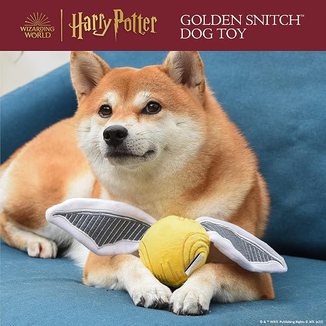 Foto 2 de 5 de Harry Potter Snitch Pet Squeaker Toy