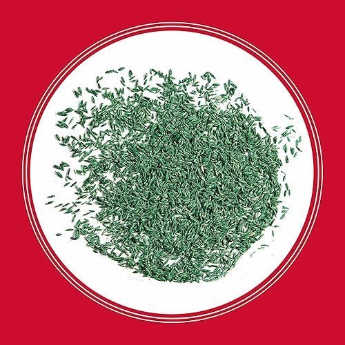 Miniatura 10 de Pennington The Rebels Tall Fescue - Mezcla de semillas de hierba de 40 libras