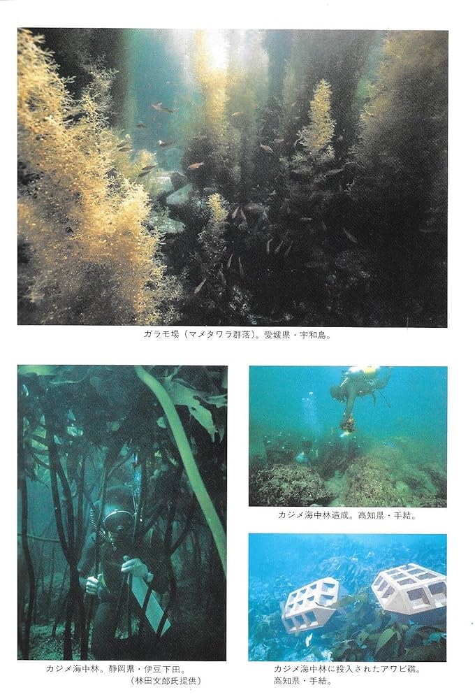 助産学講座 1〜10巻 看護教員の方へ | 医学書院