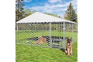 10x10 Heavy Duty Dog Kennel: The Ultimate Outdoor Sanctuary for Pups