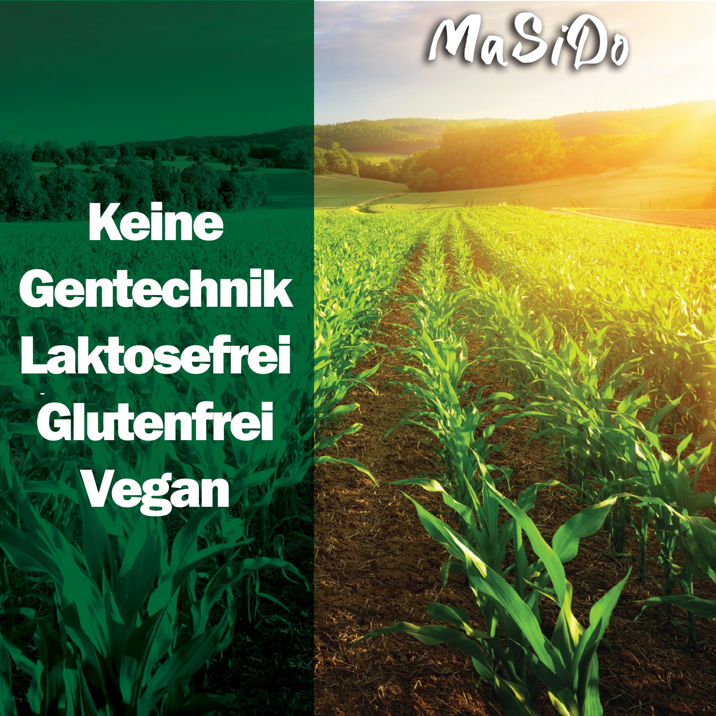 MSD MaSiDo Premium Popcorn Mais aus Deutschland, Butterfly Mais Vorratspack, ohne Gentechnik, vegan, glutenfrei, laktosefrei (1kg Packung)