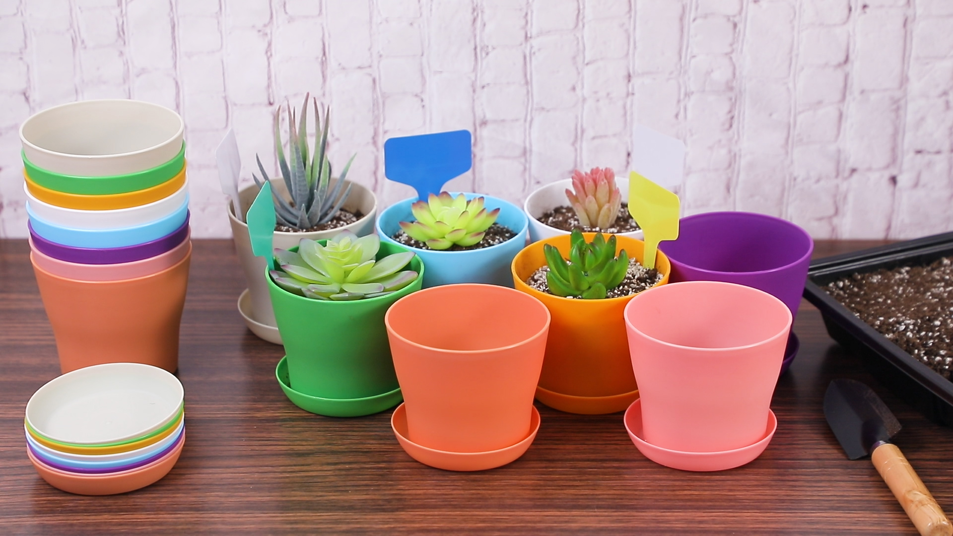 【 Supreme 】 Mini Planters Multicolor Supreme Mini Planters Planters (Set of 3) Multicolor - SS25 - US