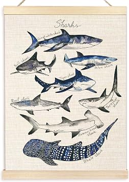 Ecezatik Shark Poster Hanger Frame, Wall Art for Beach Room, Coastal Home Decor, Hanging Decor for Classroom Nursery Boys Room, Gifts for Shark Lovers, 12x16