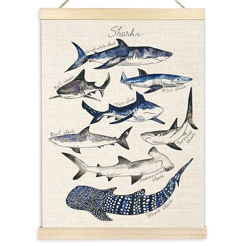 Ecezatik Shark Poster Hanger Frame, Wall Art for Beach Room, Coastal Home Decor, Hanging Decor for Classroom Nursery Boys Room, Gifts for Shark Lovers, 12x16
