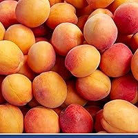 Vista 6 de Traina Foods - Fruta deshidratada secada al sol