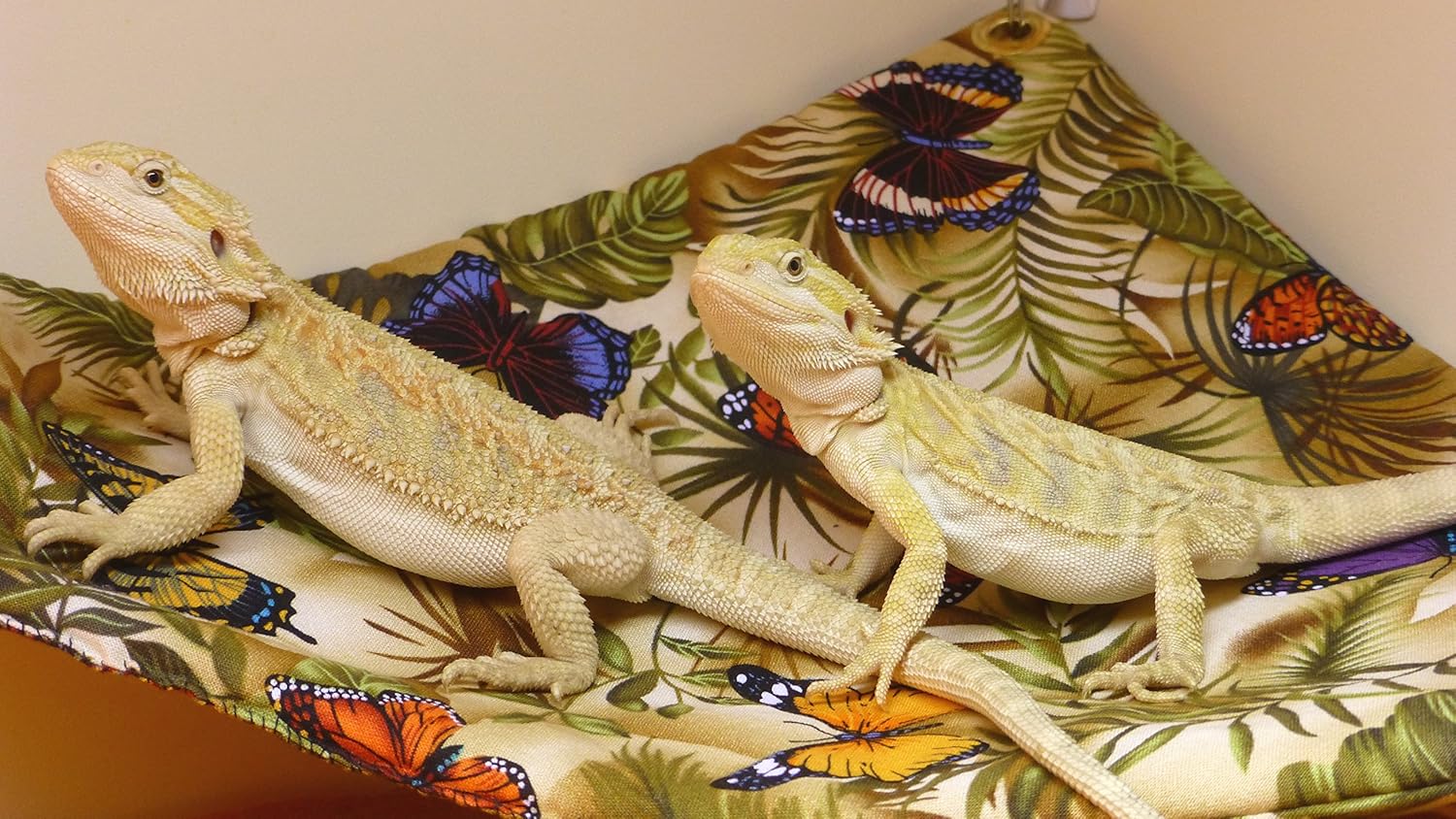 Hammock for Bearded Dragons, Butterflies and Leaves Fabric with Suction Cup Hooks