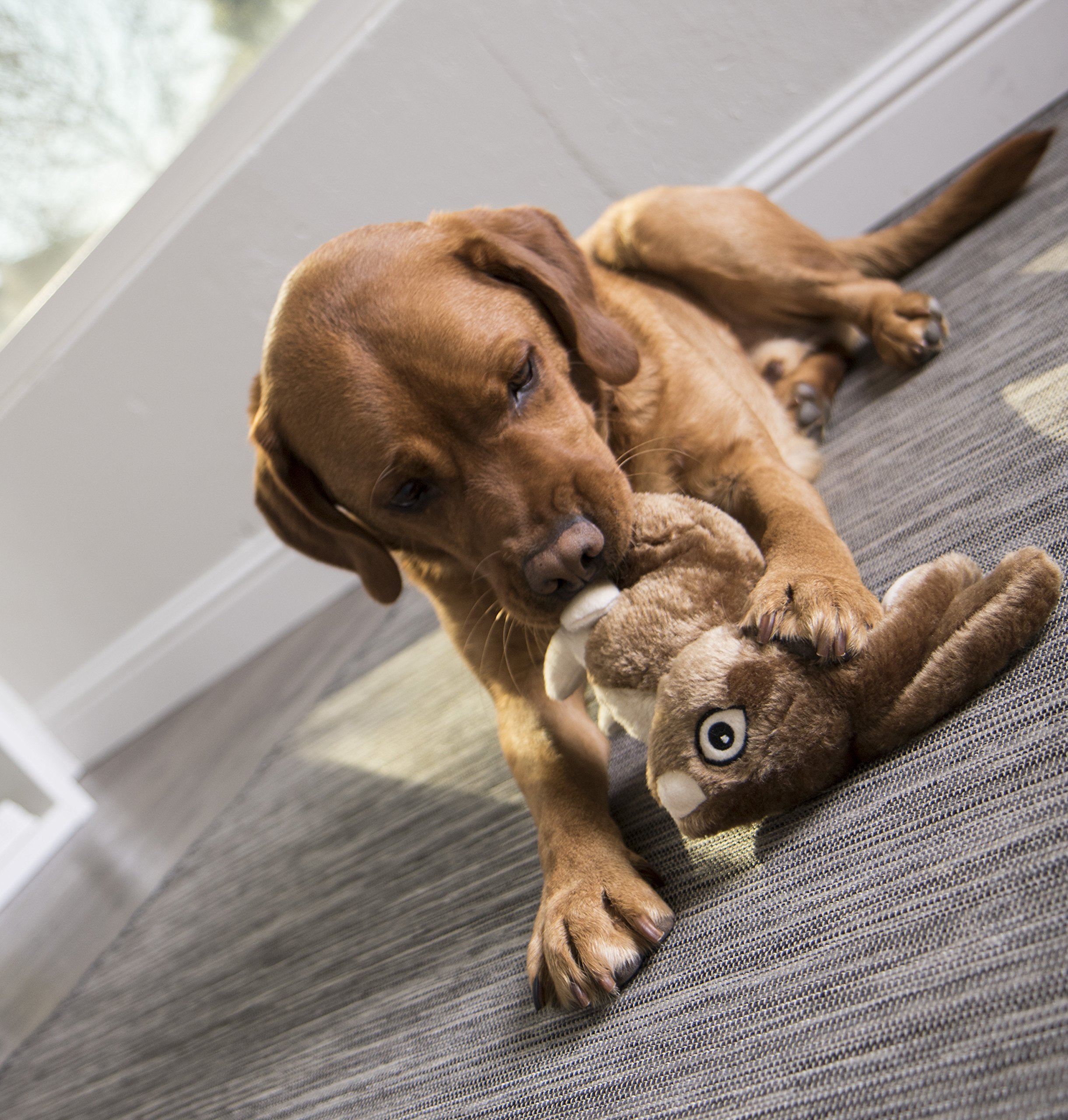 goDog Wildlife Juguete con Chew Guardia
