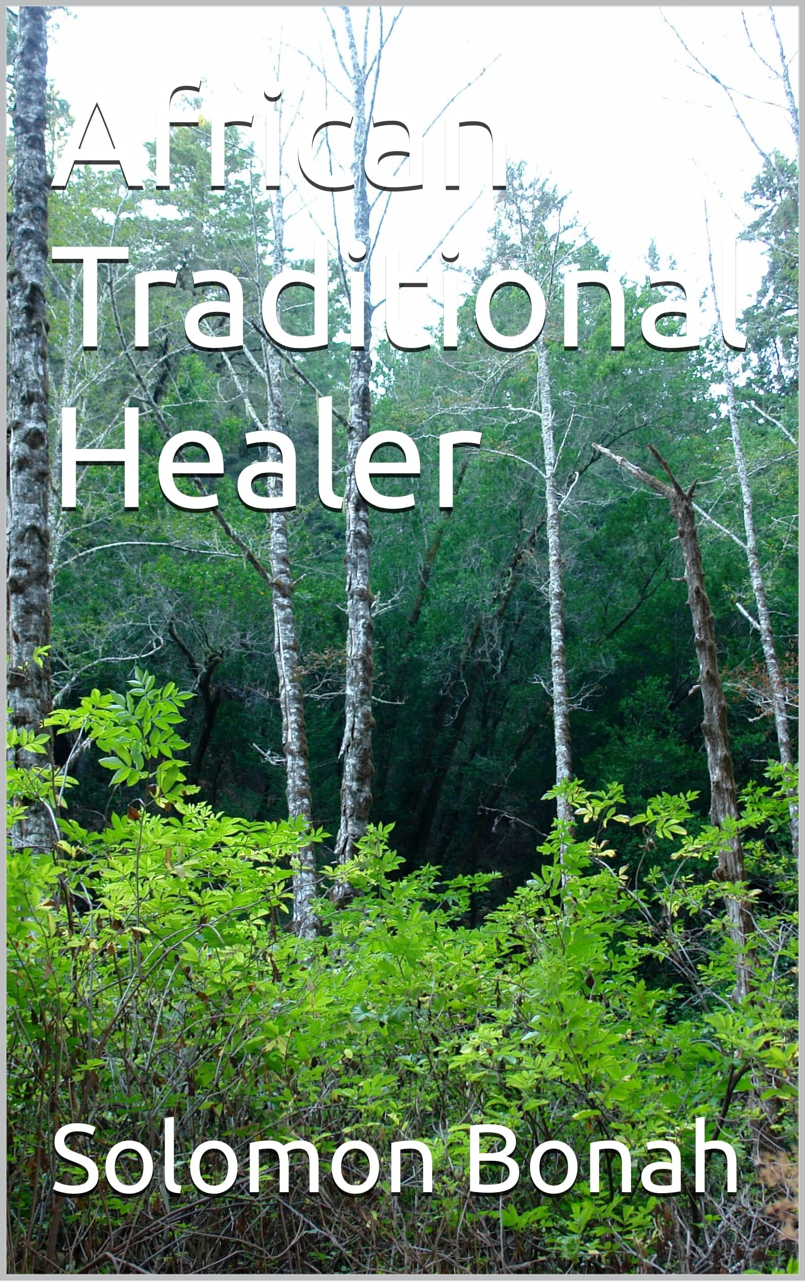 African Traditional Healer